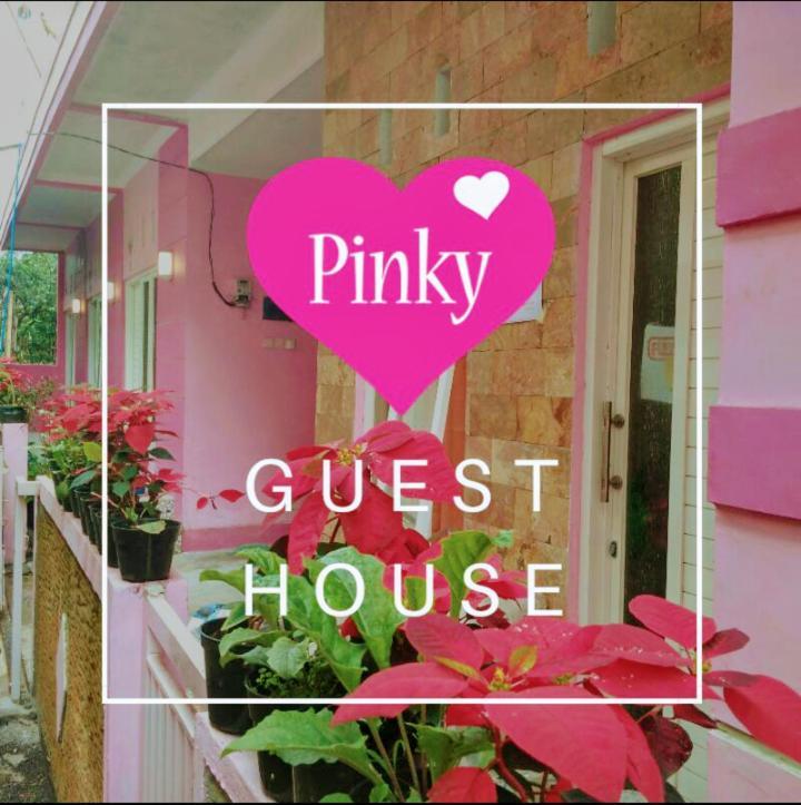 Pinky Guest House Batu Batu  Exterior photo