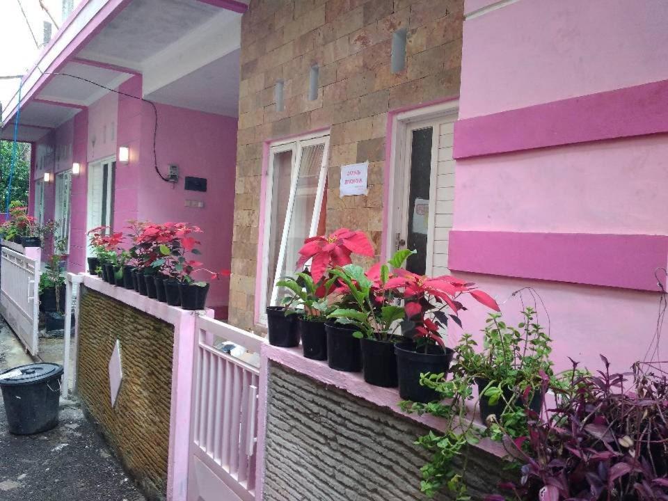 Pinky Guest House Batu Batu  Exterior photo